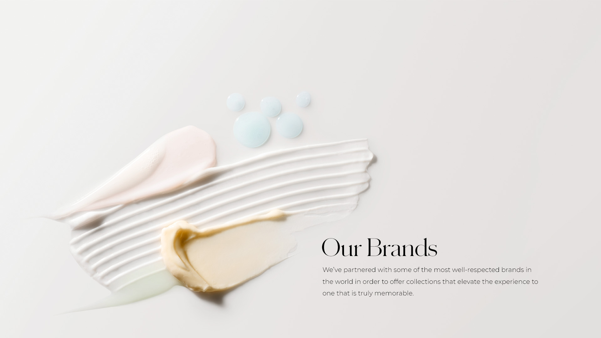 Our Brands