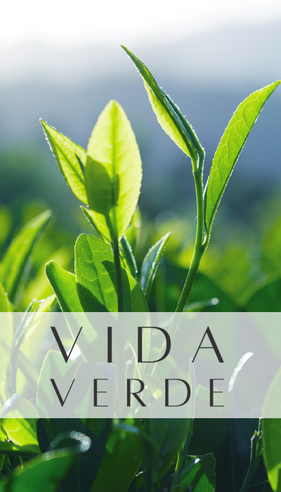 Vida Verde